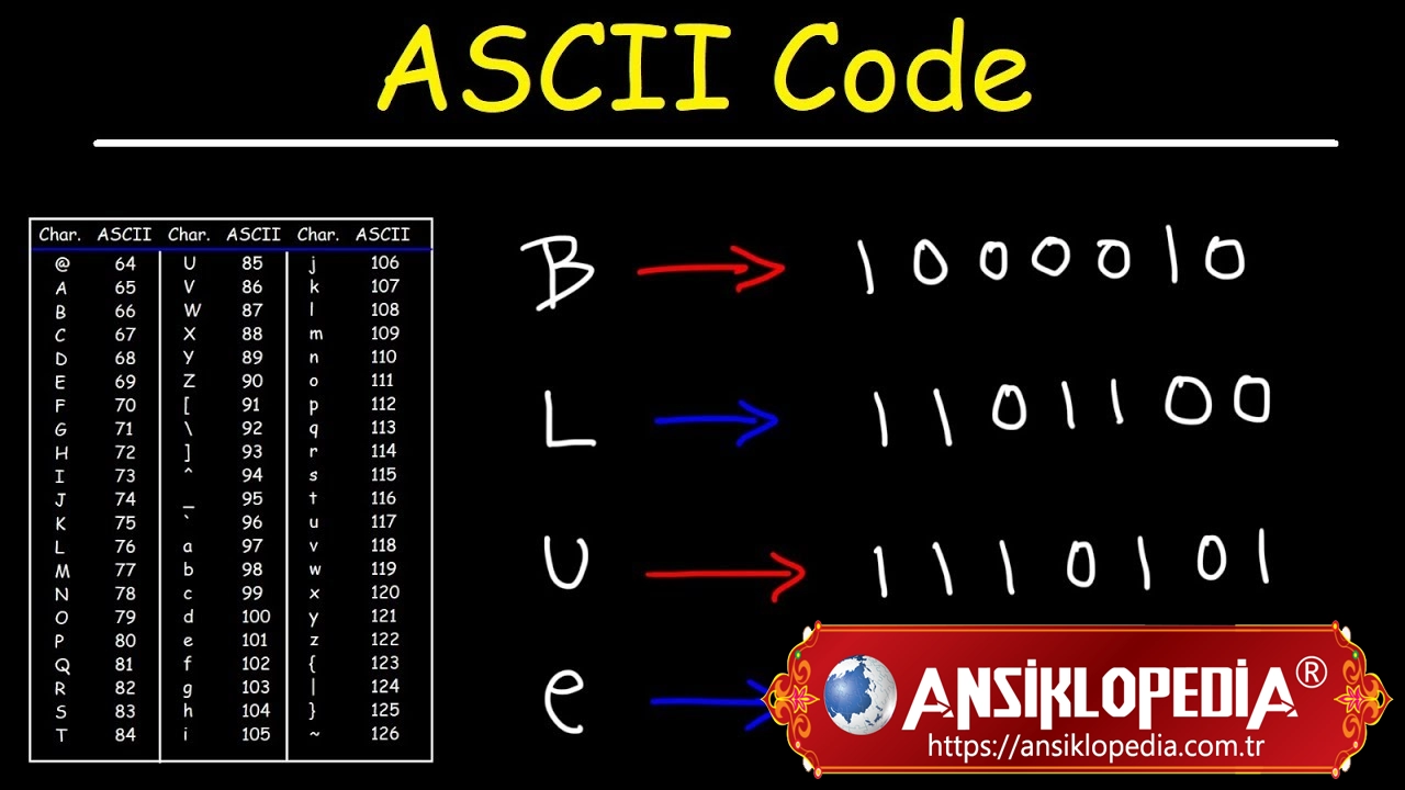 ASCII (Bilgi Alışverişi için Amerikan Standart Kodu) Nedir ?