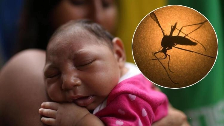 Zika Virüsü Nedir ? Belirtileri Nelerdir ? Nasıl Önlenir ?