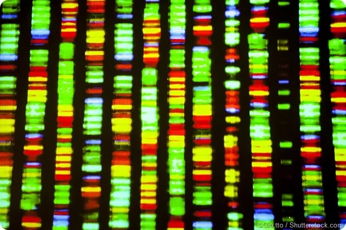 DNA Dizilimi Nedir ? DNA Dizileme Türleri
